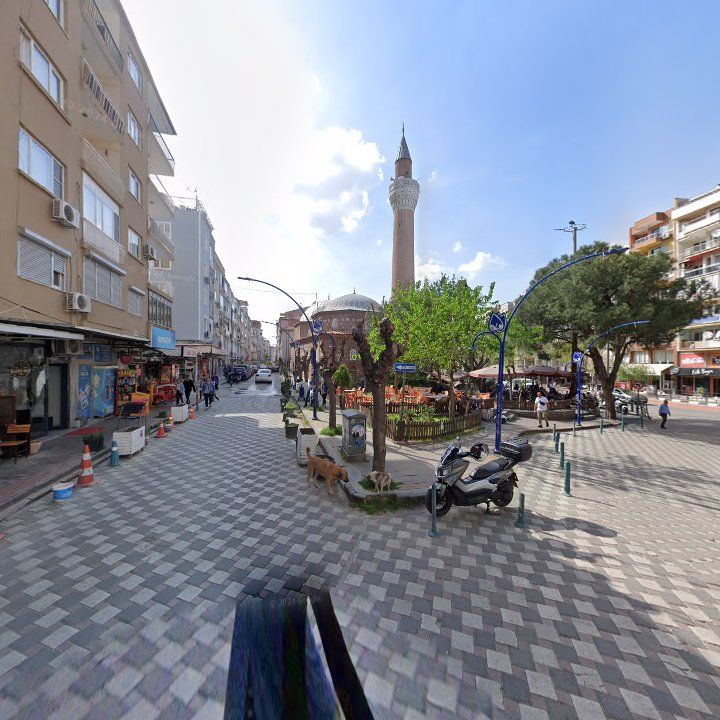 Fotoğraf 10