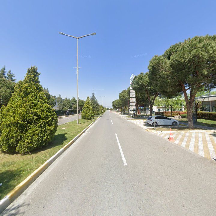 Fotoğraf 14