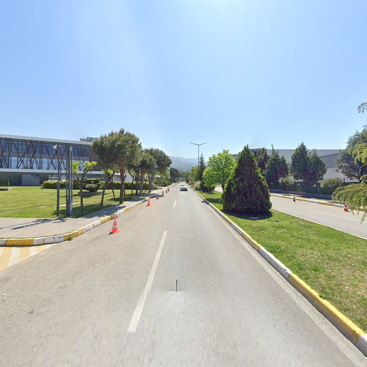 Fotoğraf 12