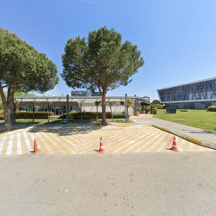 Fotoğraf 11