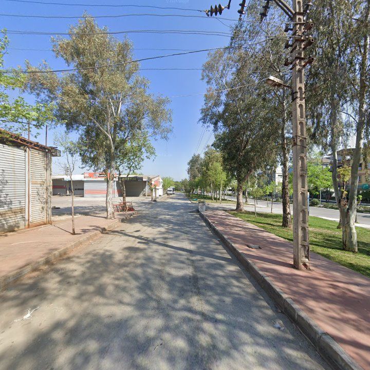 Fotoğraf 5