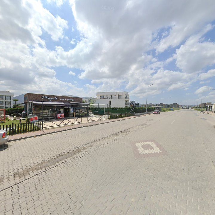 Fotoğraf 6