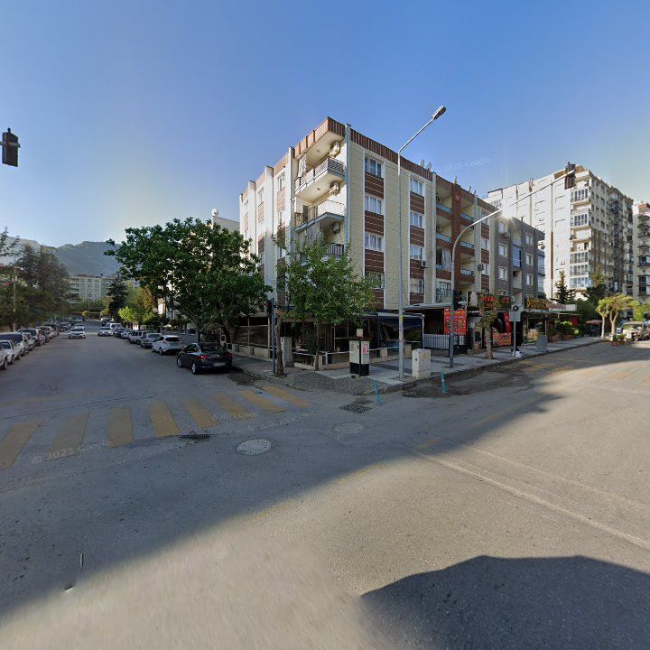 Fotoğraf 11