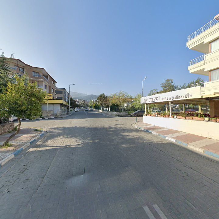 Fotoğraf 8