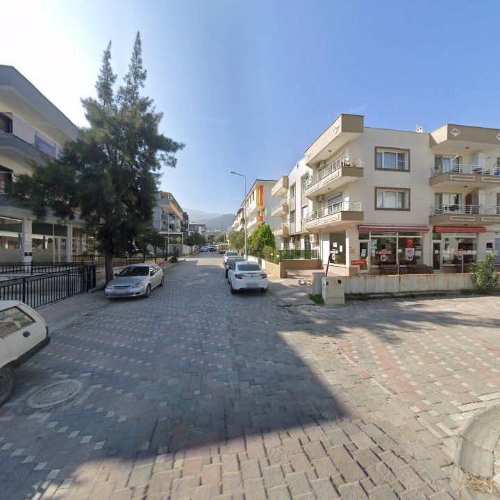 Fotoğraf 8