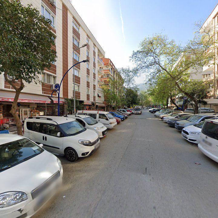 Fotoğraf 11