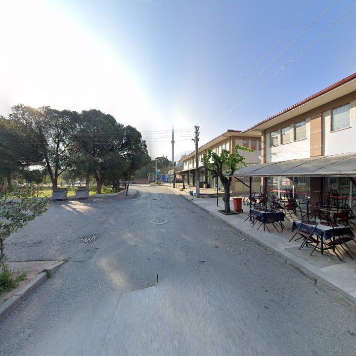 Fotoğraf 9