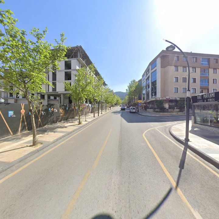 Fotoğraf 11