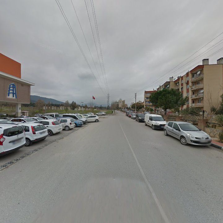 Fotoğraf 10