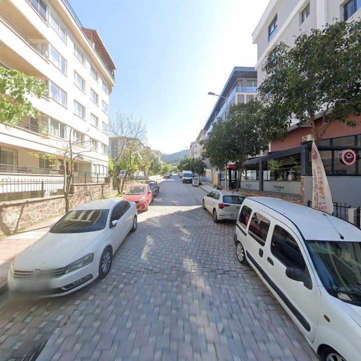 Fotoğraf 10