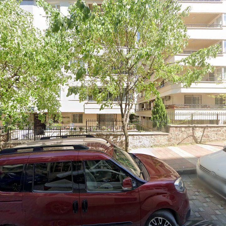 Fotoğraf 9