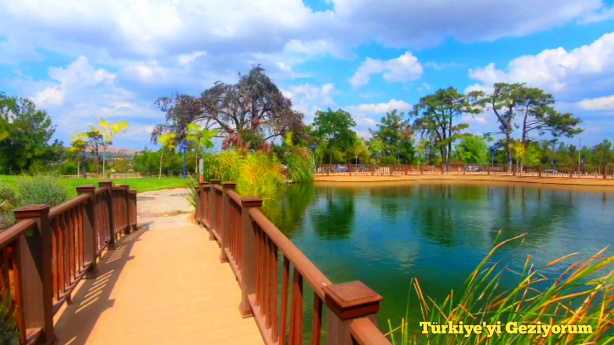 Fotoğraf 16