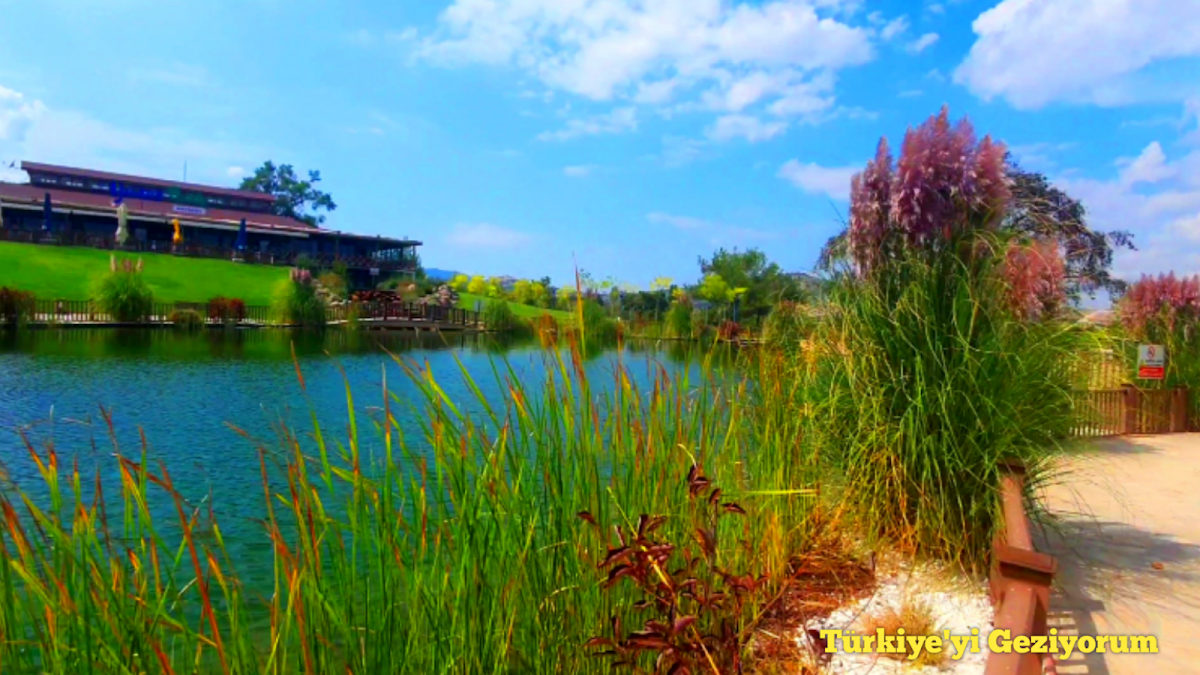 Fotoğraf 20