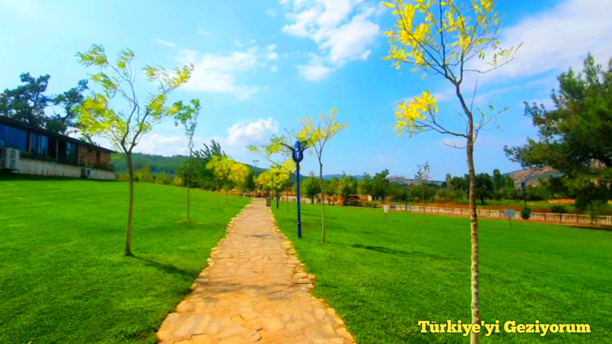 Fotoğraf 11