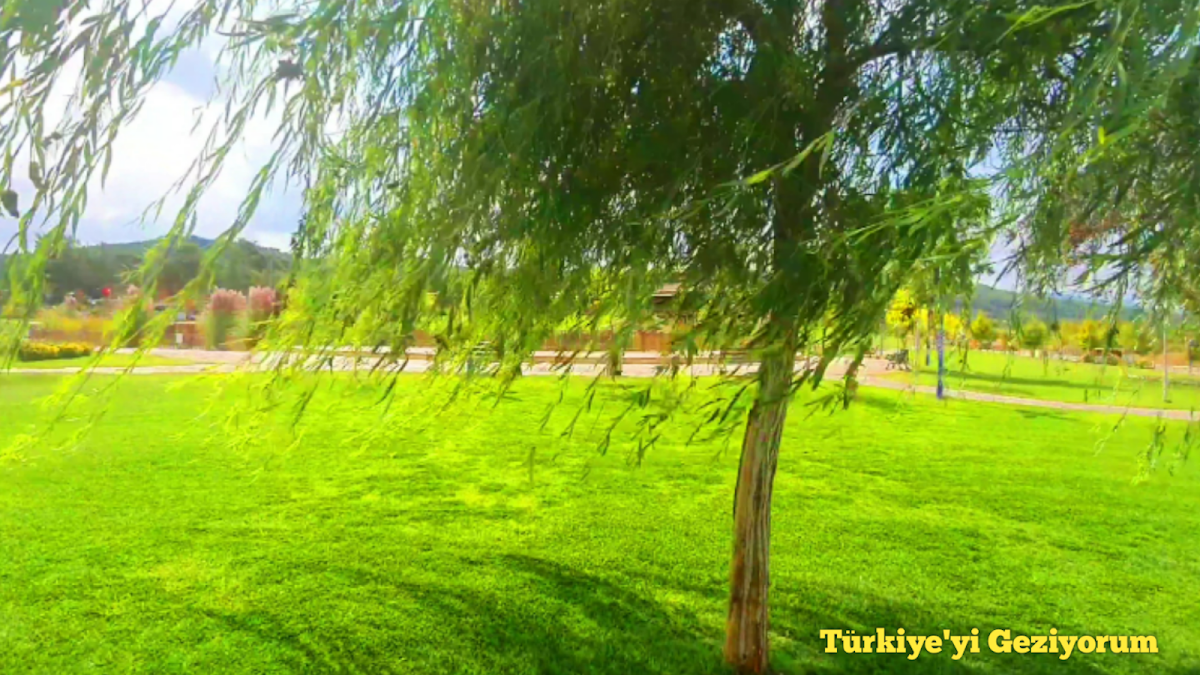 Fotoğraf 13
