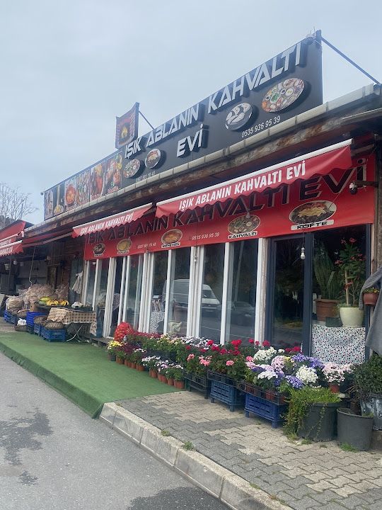 Fotoğraf 46