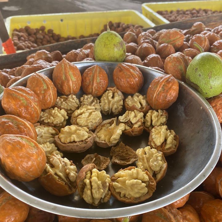 Fotoğraf 43