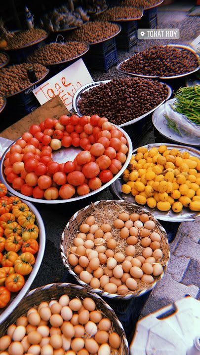 Fotoğraf 45