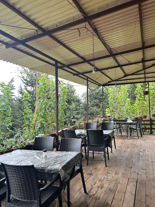 Fotoğraf 53