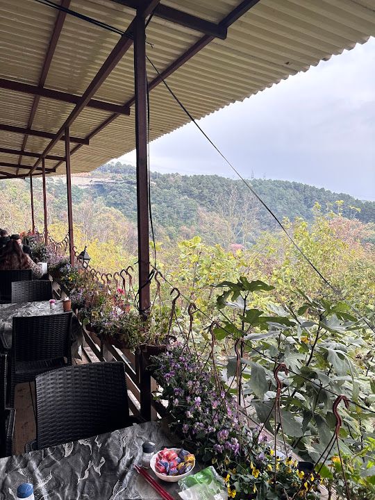 Fotoğraf 56