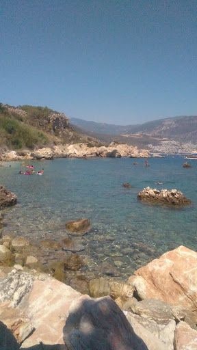 Yorum fotoğrafı 4