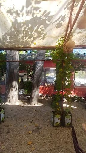 Fotoğraf 17
