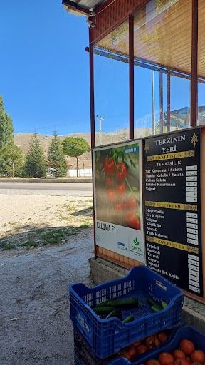 Fotoğraf 21