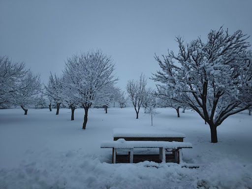 Yorum fotoğrafı 5