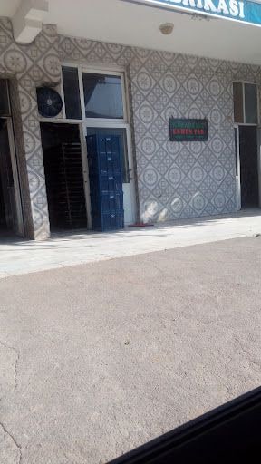 Fotoğraf 8