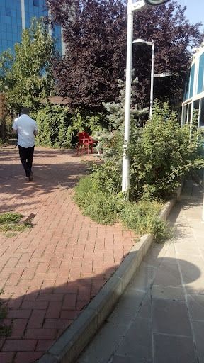 Yorum fotoğrafı 8