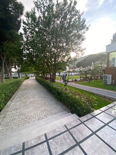 Fotoğraf 20
