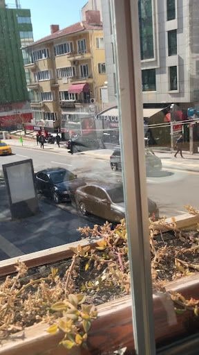 Fotoğraf 13