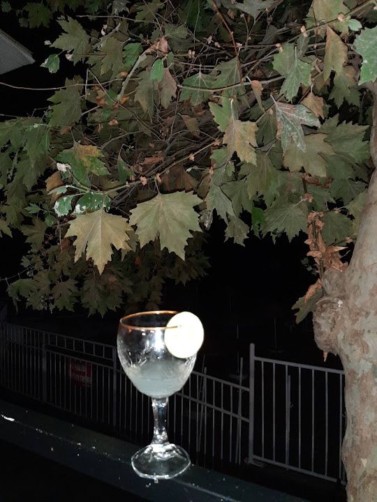 Fotoğraf 14