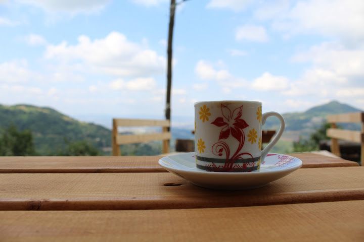 Fotoğraf 43