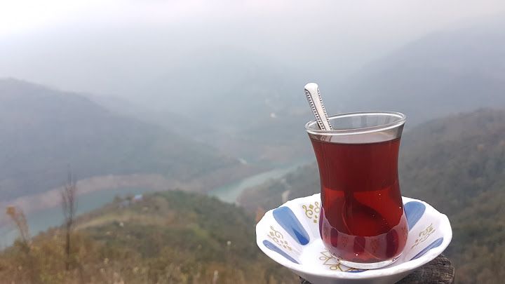Fotoğraf 38