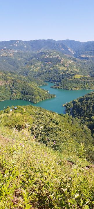 Fotoğraf 19