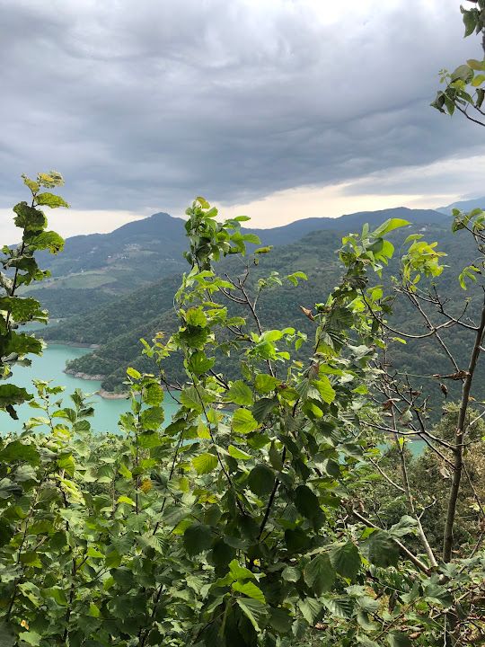 Fotoğraf 62
