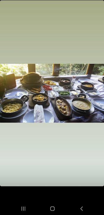 Fotoğraf 37