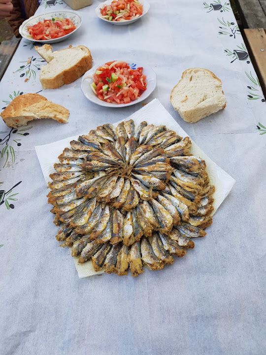 Fotoğraf 41