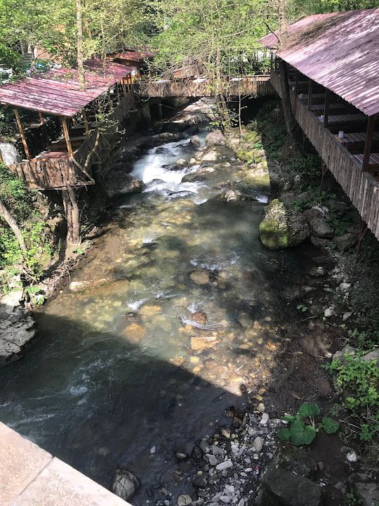 Fotoğraf 83