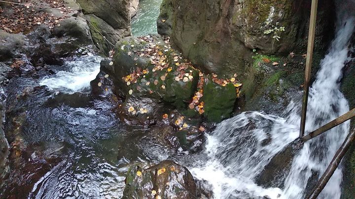 Fotoğraf 77