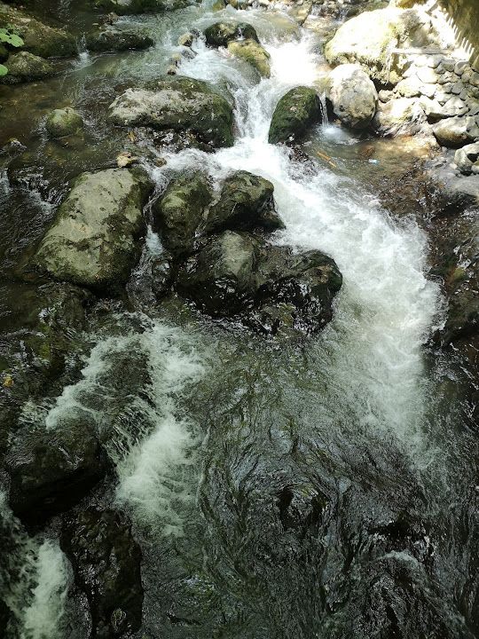 Fotoğraf 62