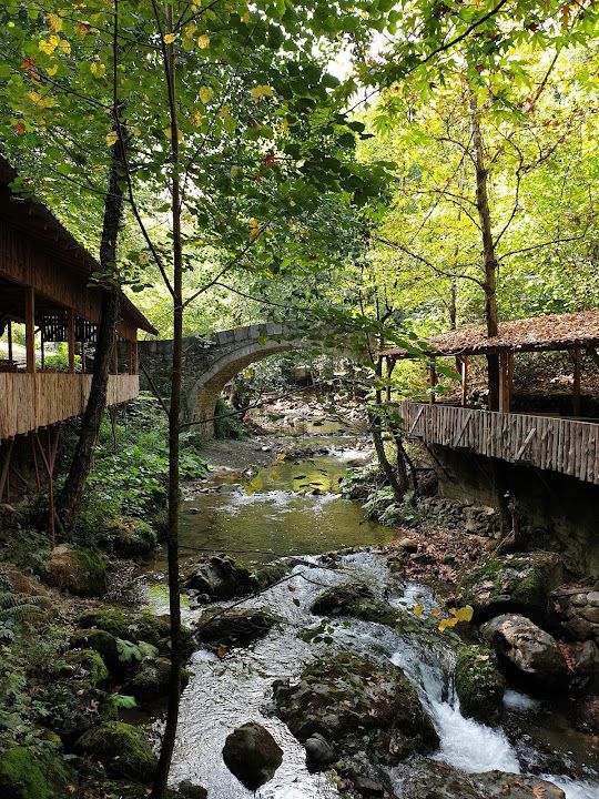 Fotoğraf 66