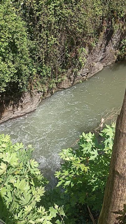 Fotoğraf 55