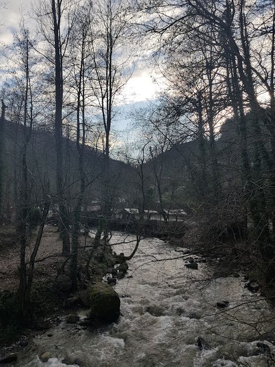 Fotoğraf 27