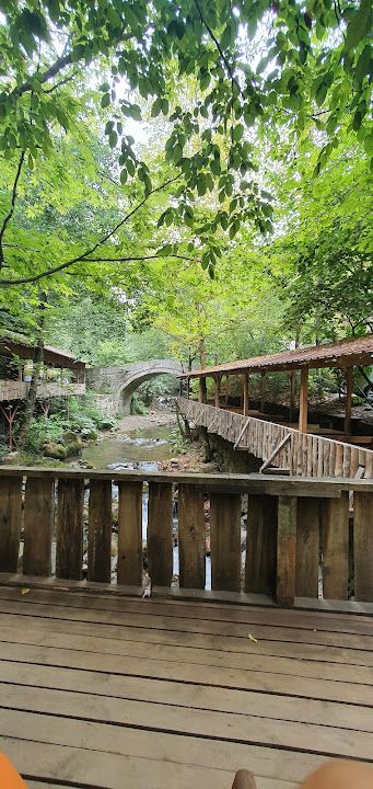 Fotoğraf 17