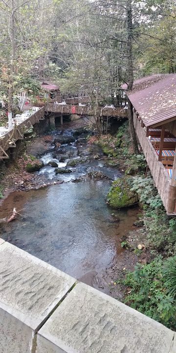 Fotoğraf 78