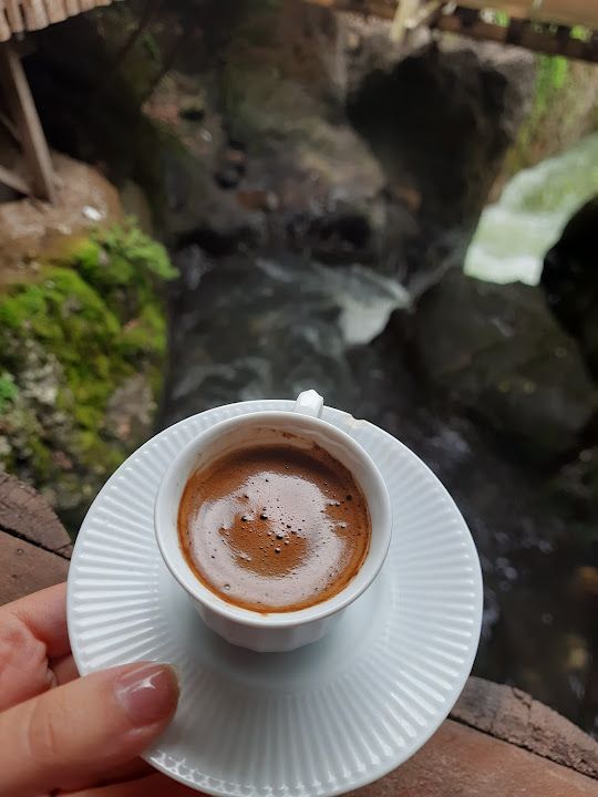 Fotoğraf 12