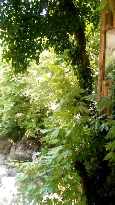 Fotoğraf 85