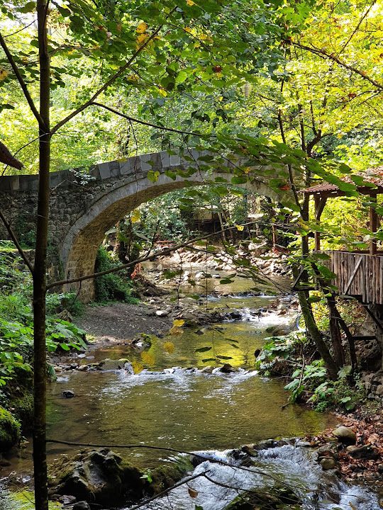 Fotoğraf 65